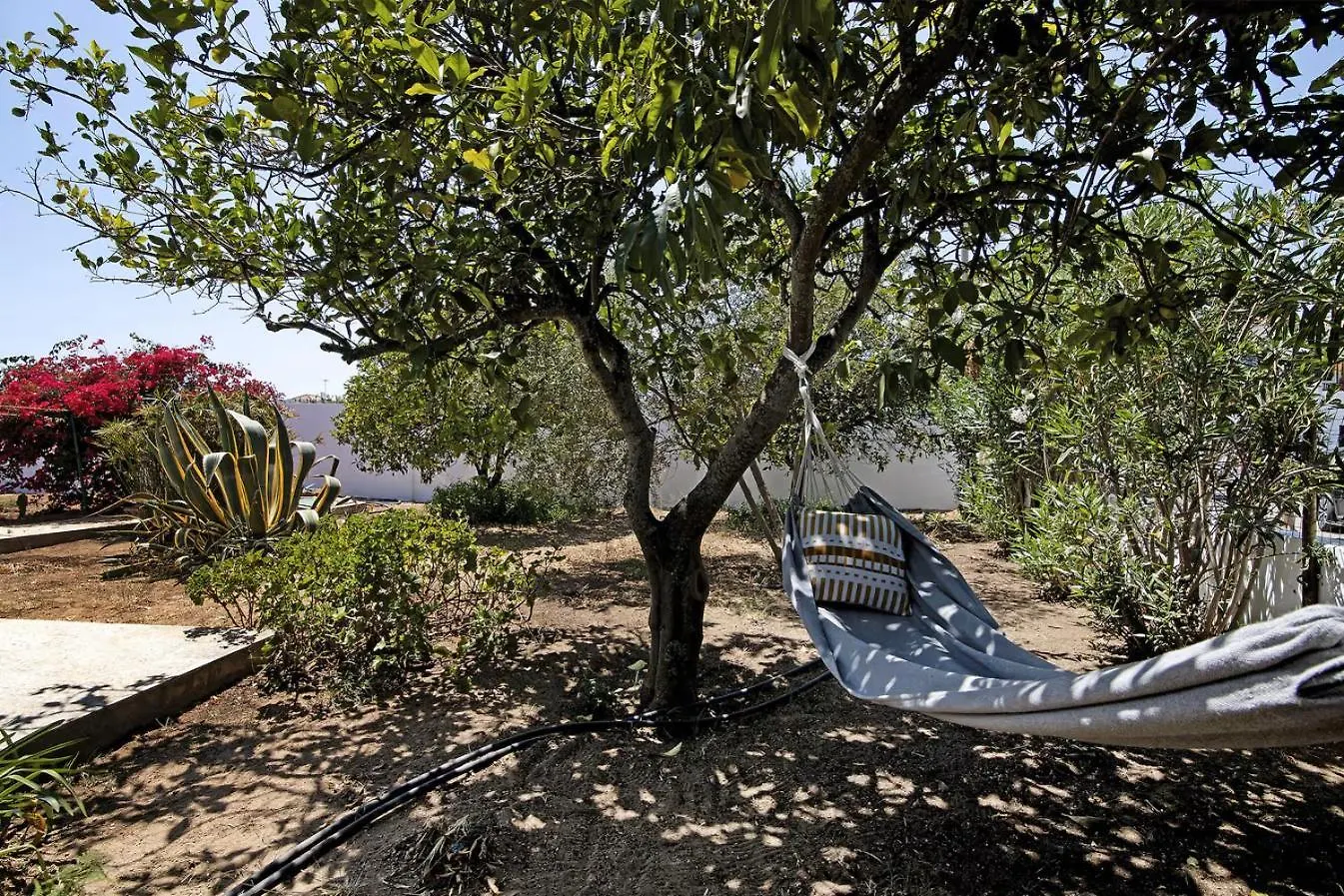 Casa Maria Beatriz Villa Manta Rota Portugal